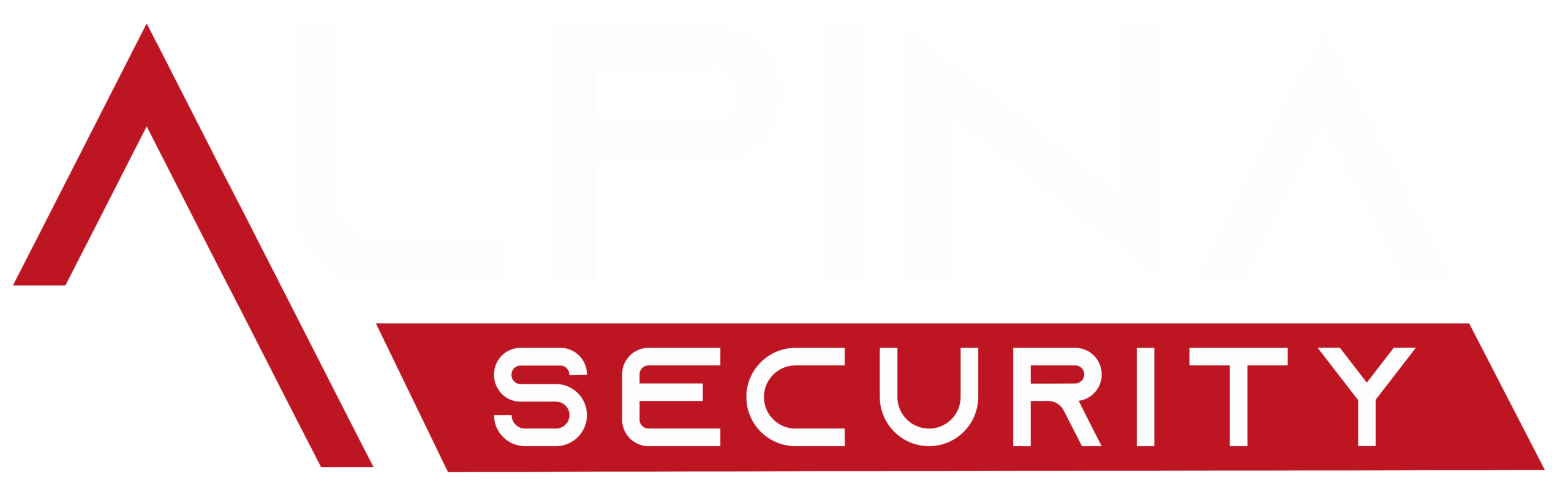 Alpina Security GmbH